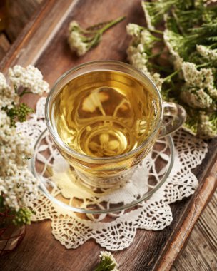 Bir fincan bitki çayı ve çiçek açan bitki örtüsü.