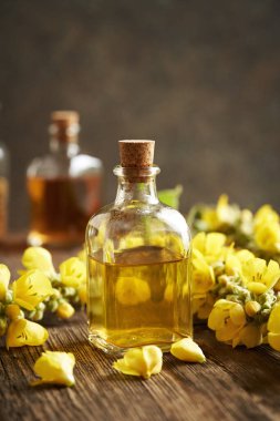 Taze Mullein ya da Verbascum yoğunluklu çiçekli bir şişe bitki özü.