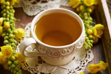 Beyaz seramik bir fincan bitkisel çay içinde taze mullein veya Verbascum yoğunluk bitkisi.