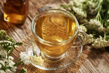 Cam bir fincanda taze kiremit çiçekli bitki çayı.