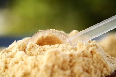 Plastik bir kepçeyle bir yığın beyaz protein tozu.
