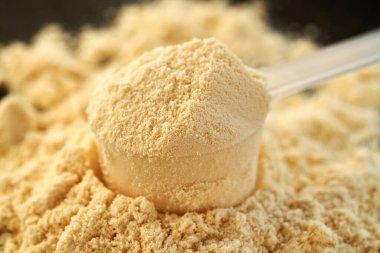 Vanilya aromalı süt tozu. Bir kepçe dolusu protein tozu. Yakın plan.