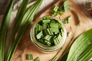 Preparation of ribwort plantain syrup for cough from fresh leaves in a glass jar, top view clipart