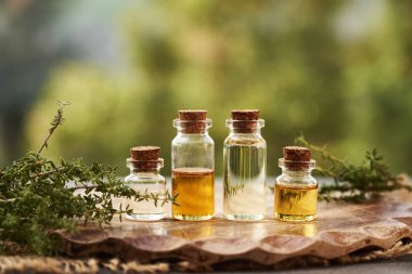 Açık havada taze kekik dallarıyla dört şişe aromaterapi esaslı yağ ve kopyalama alanı.