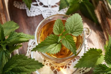 Bir fincan taze ısırgan otu yapraklı bitki çayı.