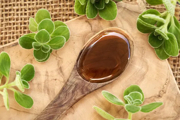 stock image A spoonful of homemade Plectranthus amboinicus syrup for common cold, with fresh leaves, top view