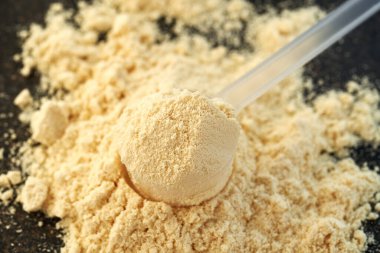 Vanilya aromalı süt tozu - besin takviyesi, yakın çekim