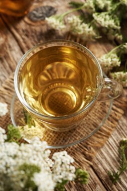 Yarrow tea in a transparent glass cup on a wooden table clipart