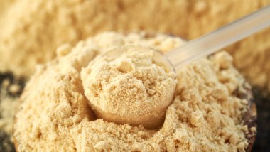 Plastik ölçü kabında beyaz protein tozu, yakın çekim.