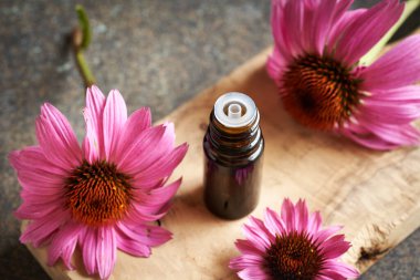 Aromaterapi esaslı yağ ya da tentür kahverengi damlacık şişesinde taze mor ekinezya çiçekleri ile