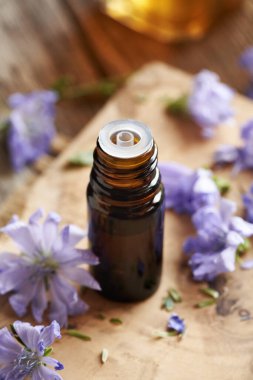 Taze hindiba çiçekli kahverengi cam bir tentür şişesi.