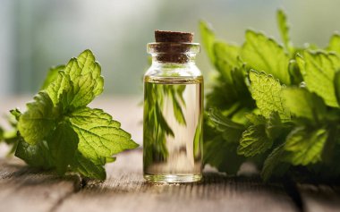 A bottle of aromatherapy essential oil with fresh melissa leaves on a table