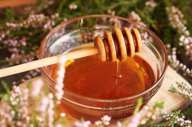 Cam bir kasede bitkisel şurup. Ormanda toplanan yabani kenevir çiçekleri ve bal toplayıcısı.