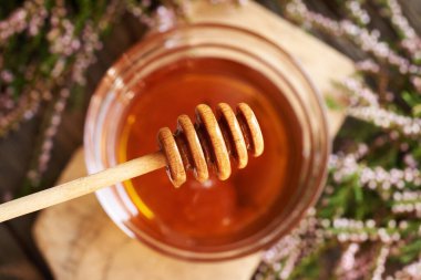 Ormanda toplanmış taze yabani kenevir çiçeklerinden yapılmış bir tas bitkisel şurubun üzerindeki ahşap bal kaplaması.