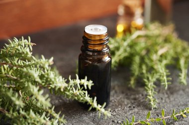 Koyu bir şişe aromaterapi esaslı yağ ve taze kekik bitkisi.