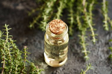 Taze kekik bitkisi içeren şeffaf bir şişe aromaterapi.