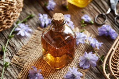 Hindiba ya da sulu bitkisel tentürü cam bir şişede.