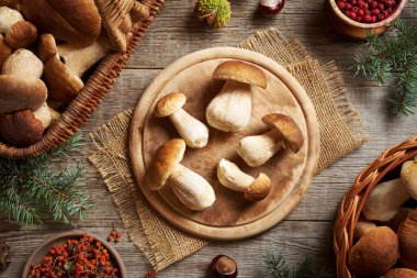 Sonbaharda tahta kesme tahtasının üzerinde taze vahşi kral boleti ya da porcini mantarları temizlemek, üst manzara