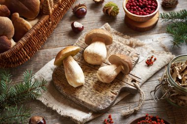 Sonbaharda tahta bir masada vahşi kral Bolete 'yi ya da porcini mantarlarını temizlemek - kurutma hazırlığı
