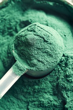 Plastik bir kaşıkta yeşil spirulina yosun tozu.