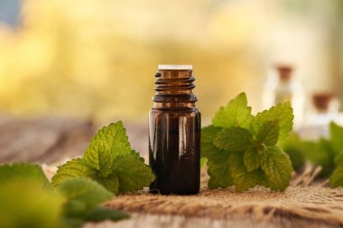 İçinde taze Melissa yaprakları olan koyu renk bir aromaterapi şişesi.