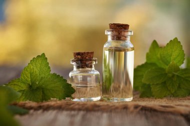 Melissa açık havada cam şişelerde gerekli yağı yapıyor.