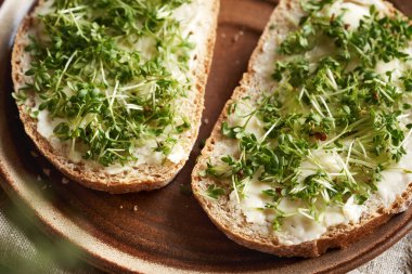 Taze bahçe teresi lahanası ya da mayalı ekmeğin üzerindeki mikro yeşillikler, yakın plan.