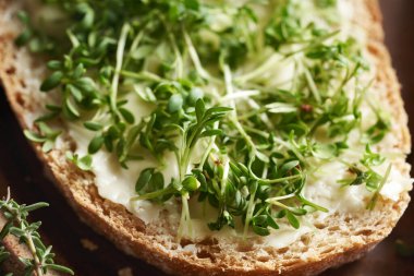Taze bahçe teresi lahanası ya da bir dilim ekşi ekmek ve tereyağlı mikro yeşillikler.