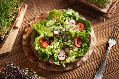 Taze lahana ve tere lahanalı bir tabak sebze salatası ya da mikroyeşillik, marul, turp, salatalık ve çan biberi.