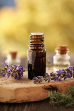Sonbaharda açık havada taze lavanta çiçekleriyle birlikte gerekli bir şişe aromaterapi yağı.