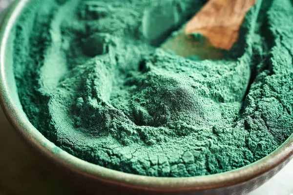 Bir kasede yeşil spirulina yosunları tozu, yakın çekim.