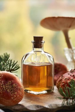 A bottle of herbal tincture made of red fly agaric or amanita mushroom - ointment for the joints clipart