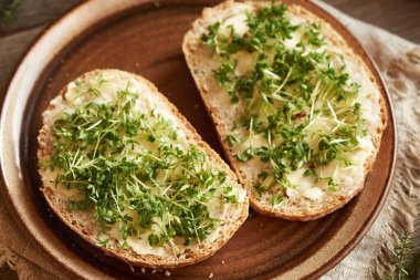 Garden cress sprouts on two slices of sourdough bread on a plate clipart