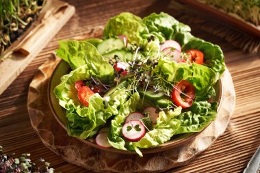 Taze lahana ve tere lahanalı bir tabak sebze salatası ya da marul, turp ve dolma biberli mikroyeşillik.