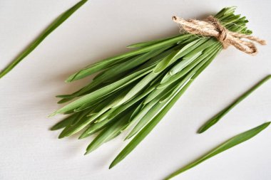 Genç yeşil arpa çimleri beyaz arka planda, yakın plan