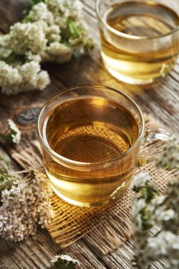 Cam bir fincanda taze kireçli bitki çayı ya da Achillea Millefolium çiçekleri