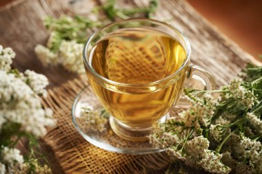 Cam bir fincanda taze kireçli bitki çayı ya da Achillea Millefolium çiçekleri