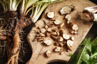Masanın üzerinde taze karahindiba kökü kes - bitkisel tentür hazırlama