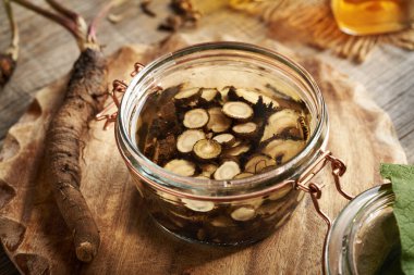 Cam kavanozda taze dulavrat kökü ve alkolden ev yapımı bitkisel tentürlerin hazırlanması