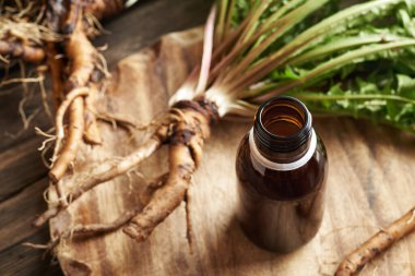 Taze karahindiba kökleri ve yaprakları olan siyah bir tentür şişesi.