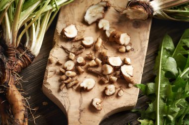 Masanın üzerinde taze karahindiba kökü - bitkisel tentürlerin hazırlanması