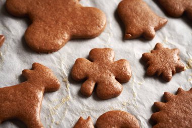 Taze pişmiş zencefilli Noel kurabiyeleri, parlasın diye yumurtayla fırçalanmış.