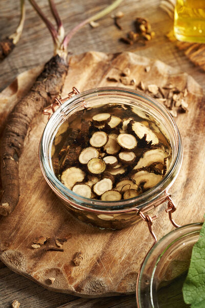 Preparation of homemade herbal tincture from fresh sliced burdock root and alcohol in a glass jar