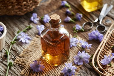 Şeffaf cam bir şişe bitkisel tentür ve taze hindiba çiçekleri