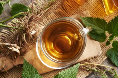 Taze ısırgan otu kökü, rizom ve yapraklı bir bardak bitki çayı.