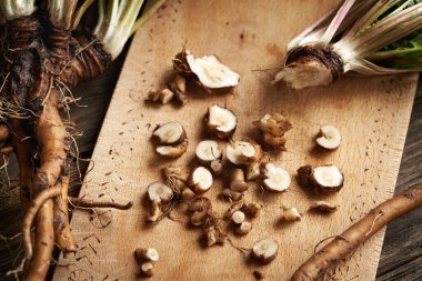 Masada taze karahindiba kökü dilimlenmiş - bitkisel tentürlerin hazırlanması