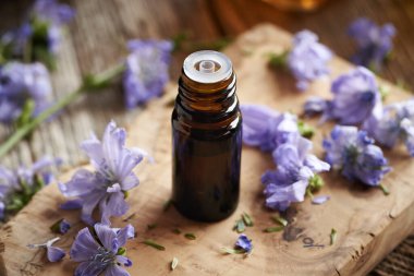 Taze hindiba çiçekli koyu renkli bir tentür şişesi.