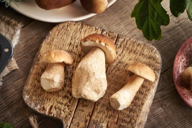 Yaban domuzu ya da Kral Bolete mantarı ağaçtan kesme tahtasının üzerinde toplandı.