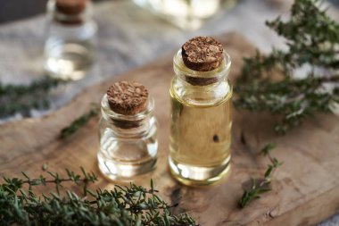 Taze kekik dalıyla iki şişe aromaterapi esaslı yağ