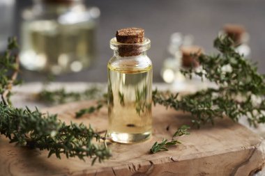 Şeffaf cam bir şişede kekik yağı.
